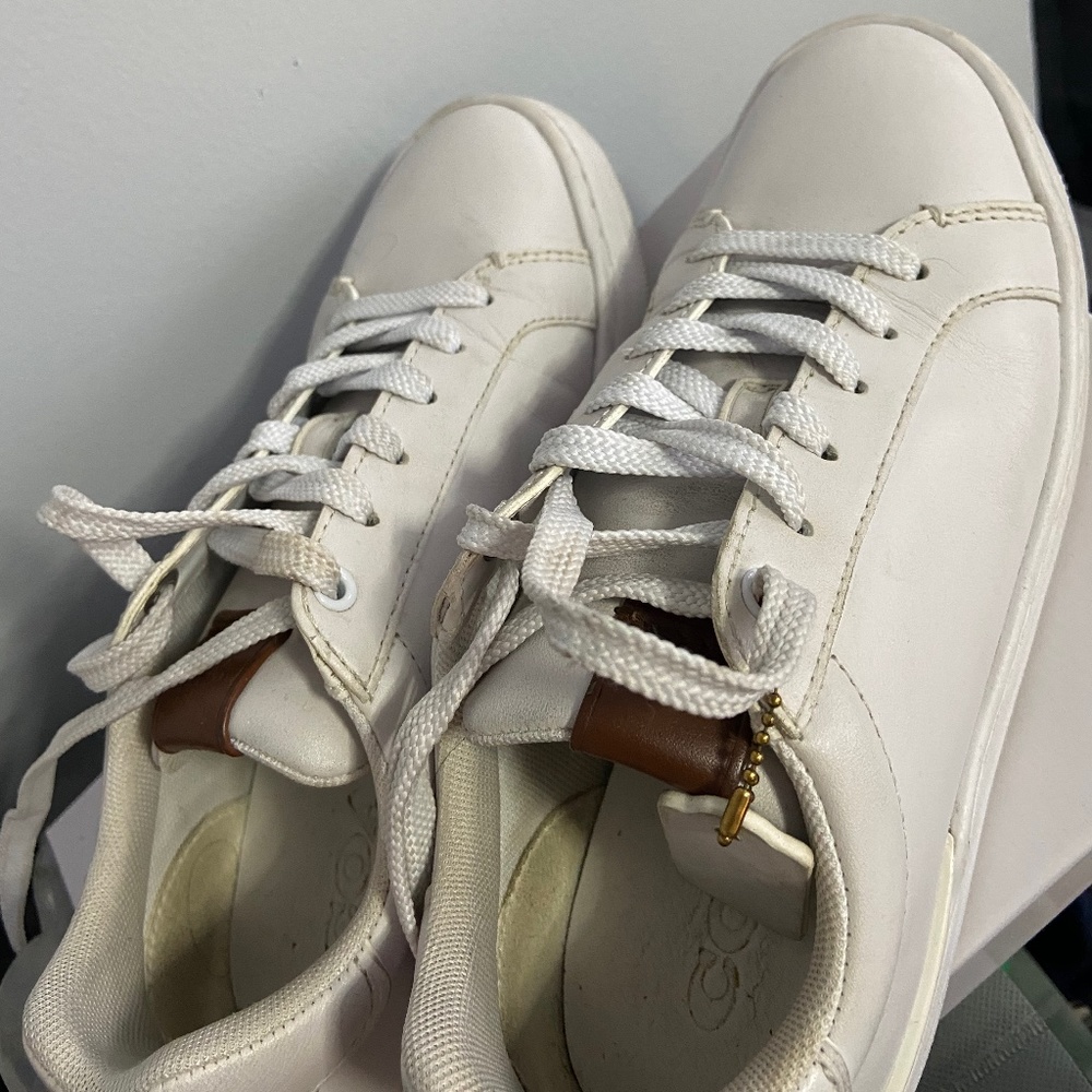 Coach sneakers